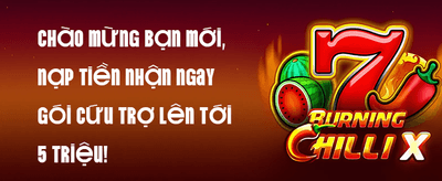 Hoàn Trả VIP Hàng Ngày promotion